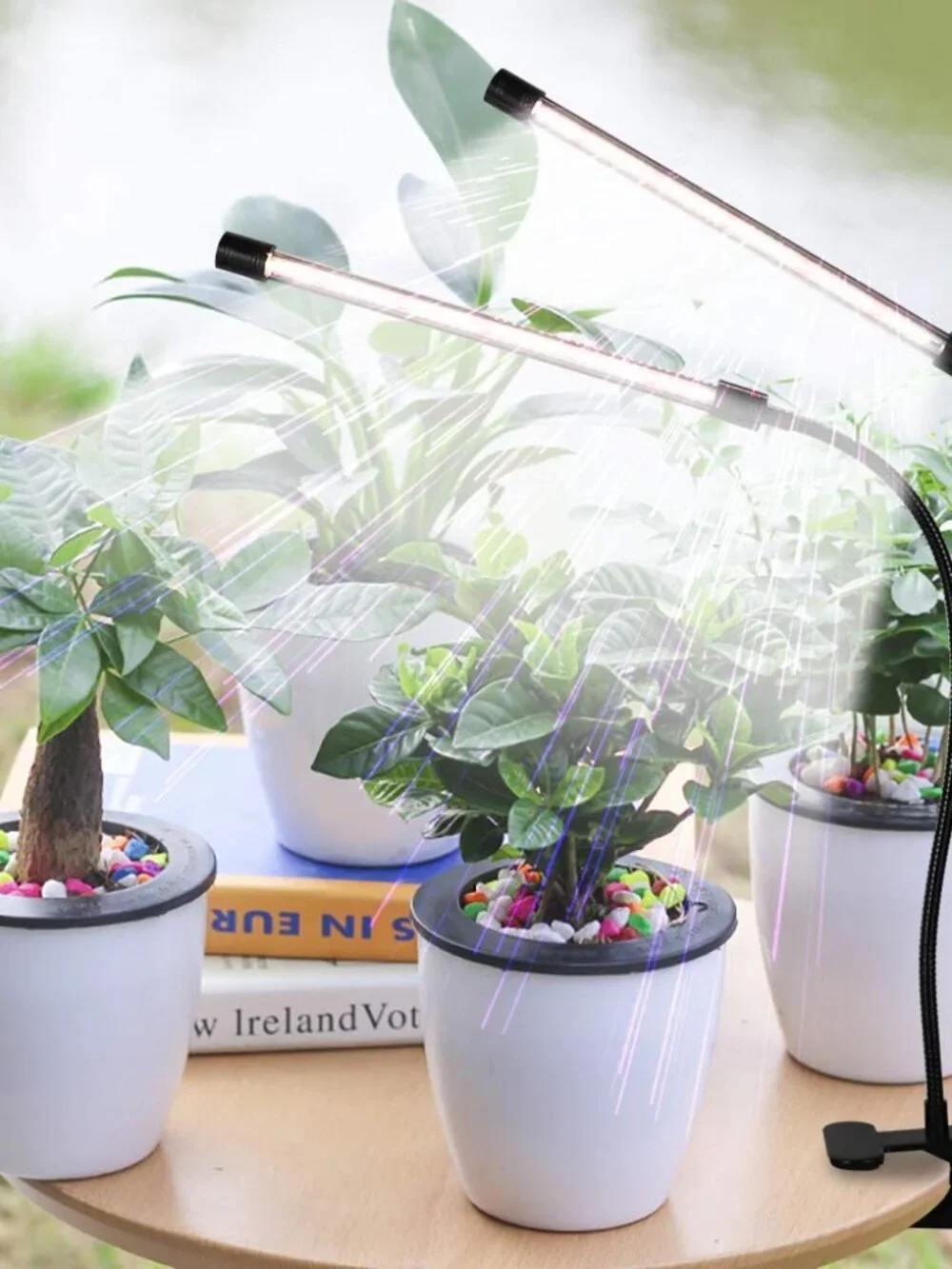 GooingTop LED Grow Light,6000K Full Spectrum Clip Plant Growing Lamp with White